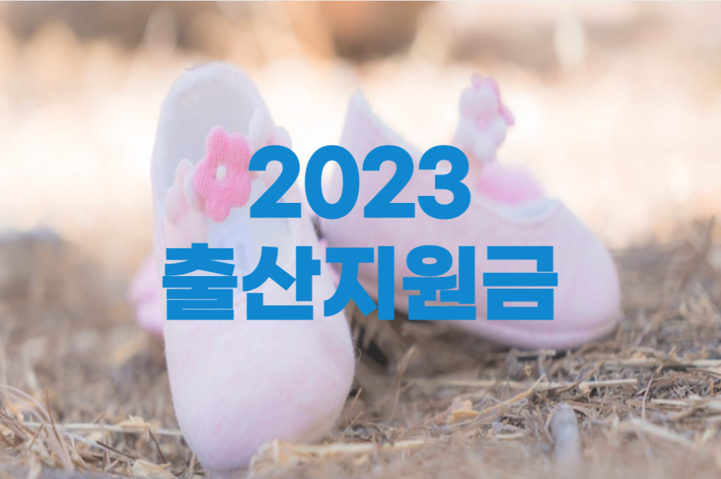 2023 출산지원금 출산혜택